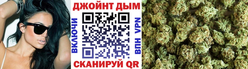 Конопля сатива Люберцы